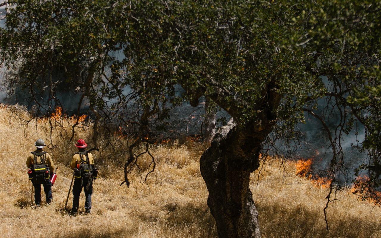 Emergency response operation