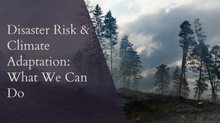 Background image of a forest with smoke and text overlay: 'Disaster Risk & Climate Adaptation: What We Can Do.